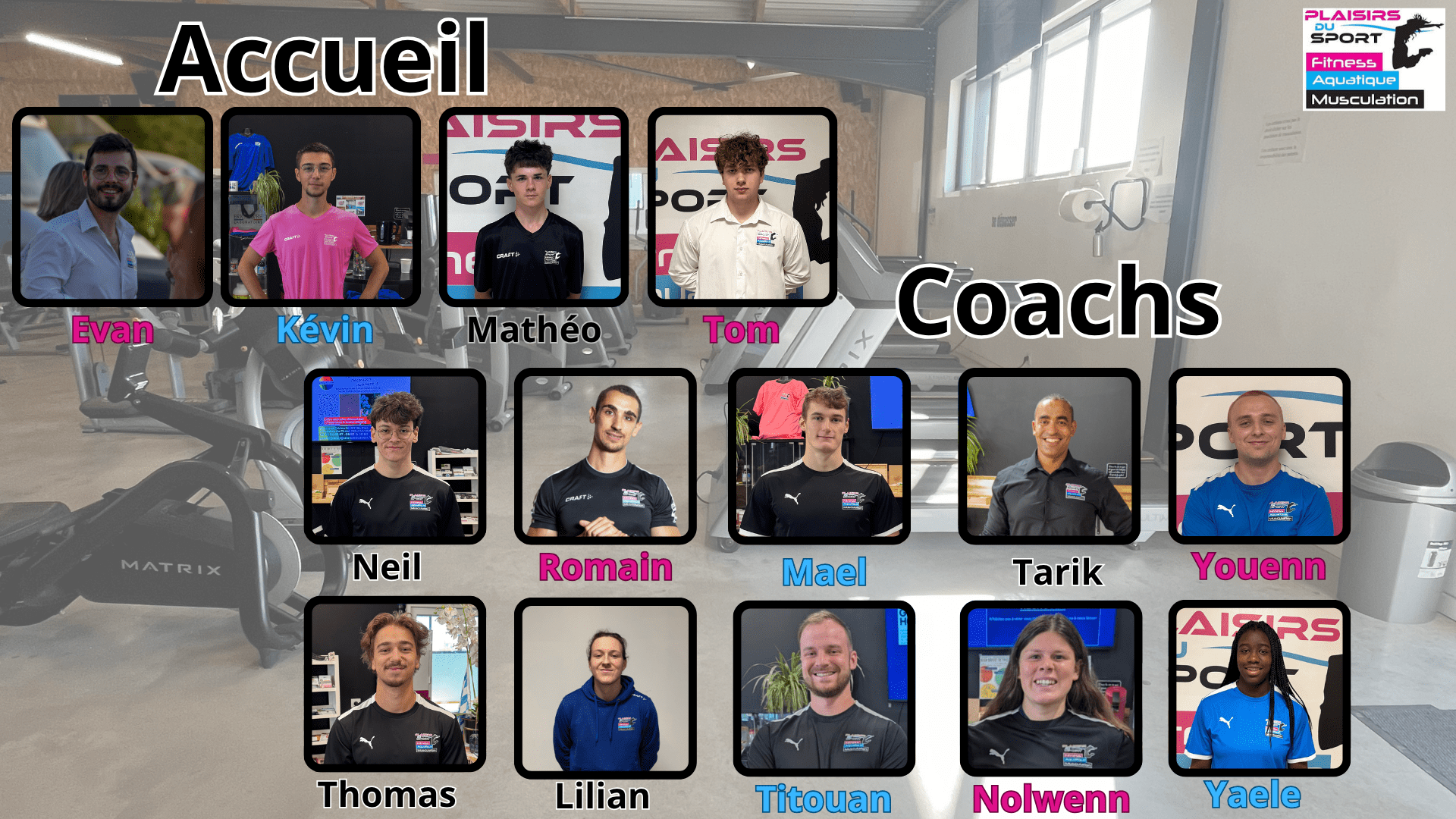Equipe pds